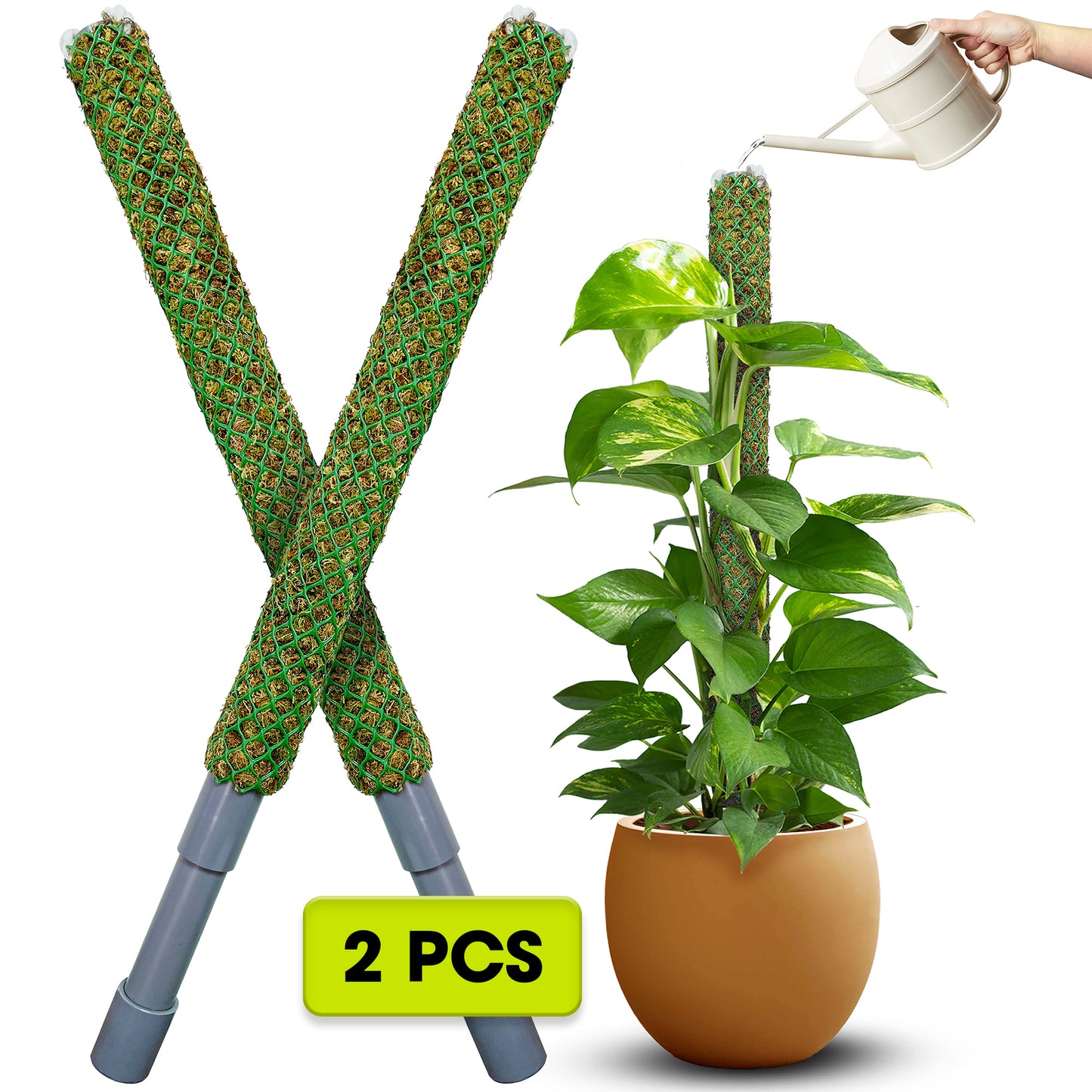 DUSPRO Self-Watering Natural Green Forest Moss Pole, Easy to Use Moss Sticks for Indoor Plants, Climbing Plant Support Stake with Self-Watering Feature, Moss Pole Monstera Plant Support