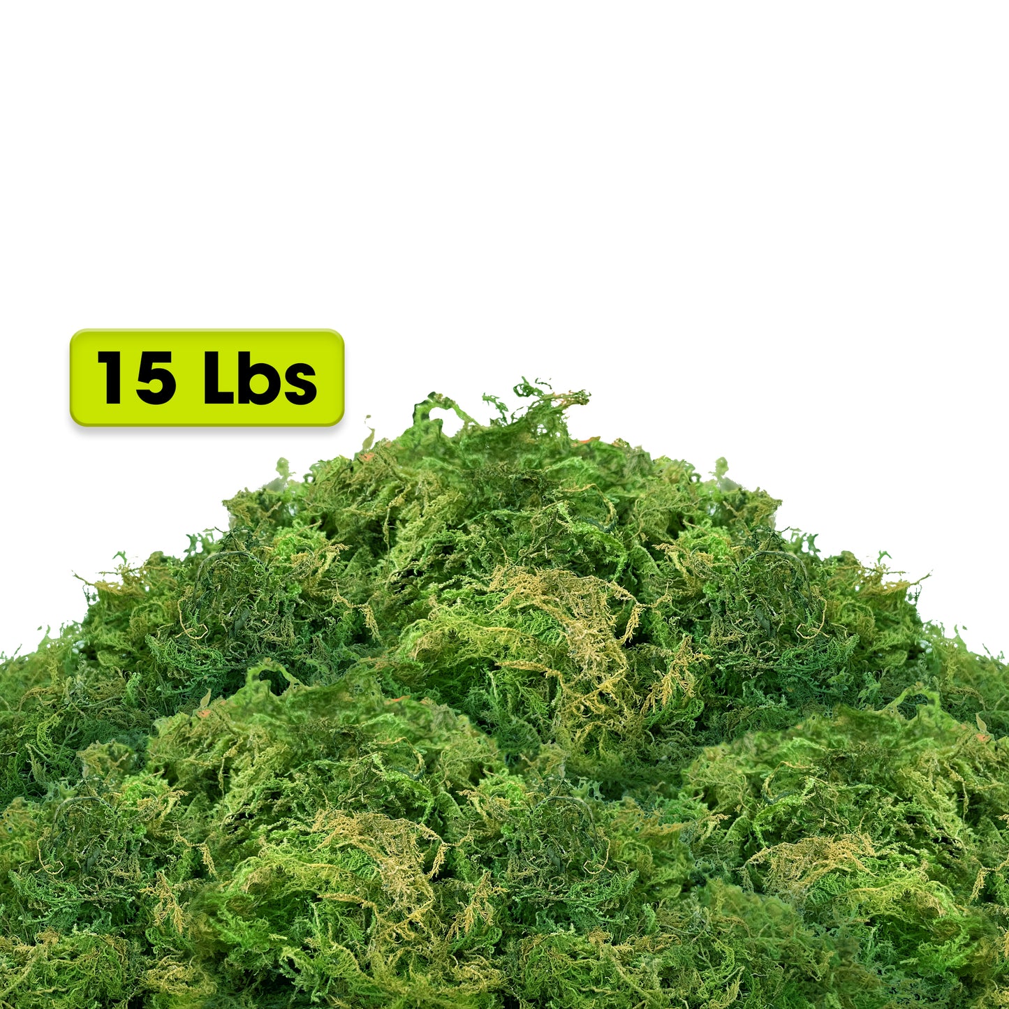 DUSPRO Green Moss for Crafts, Decorative Moss for Table Centerpieces Wedding Christmas Fairy Party Decor