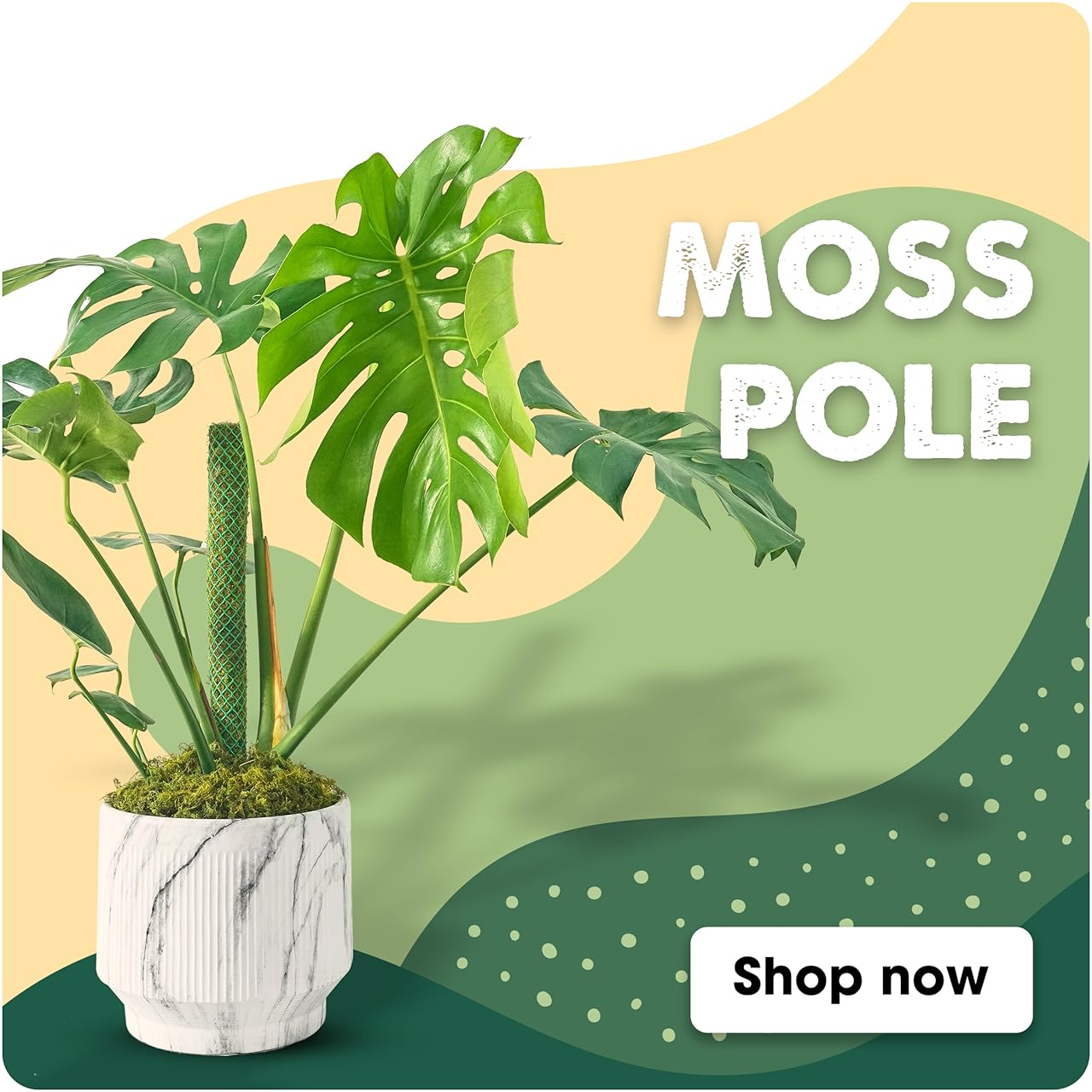 MOSS POLE