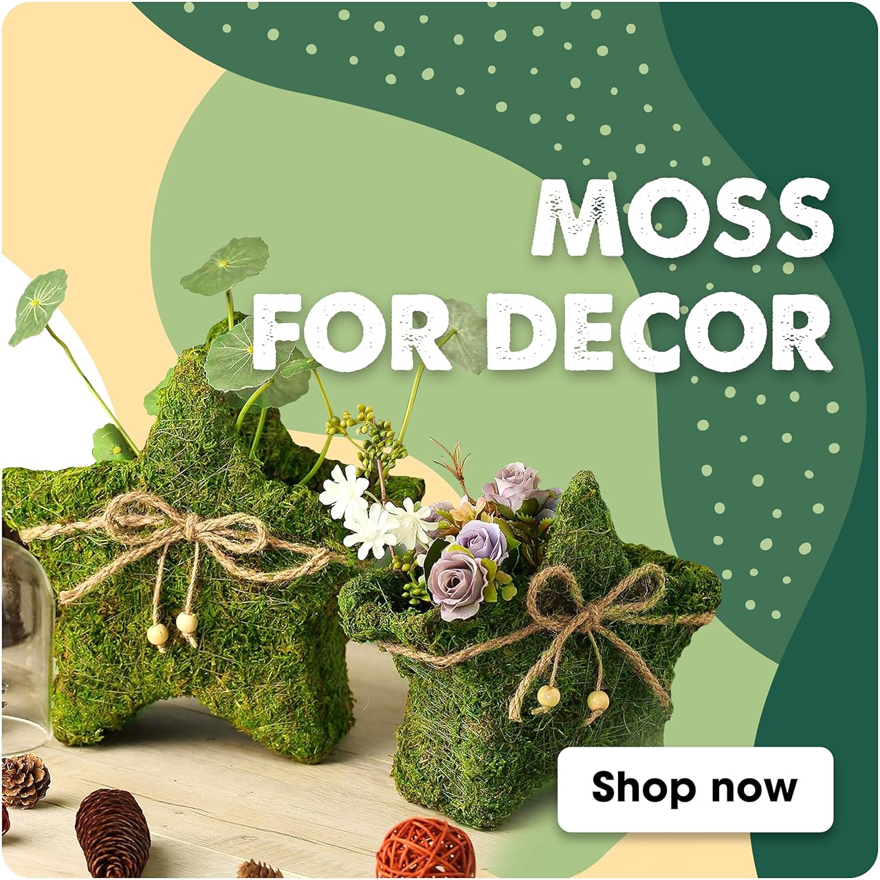 MOSS DECOR
