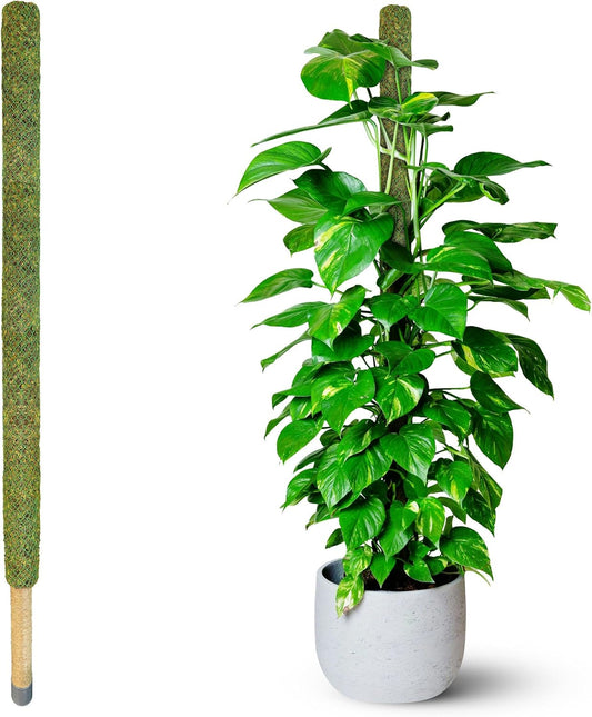 DUSPRO 59’’ Large Green Mesh Moss Pole Monstera Plant Support, Tall Plant Stakes, Moss Pole for Plants Monstera (1pc., 59'')