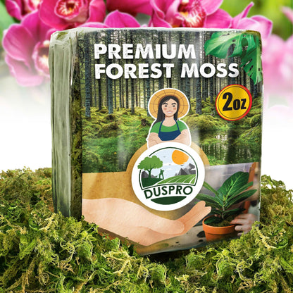 DUSPRO Dried Moss for Potted Plants, Forest Orchid Moss for Potting Mix, Sphagnum Potting Moss for Plants Indoor, Real Moss Soil Cover for Houseplant