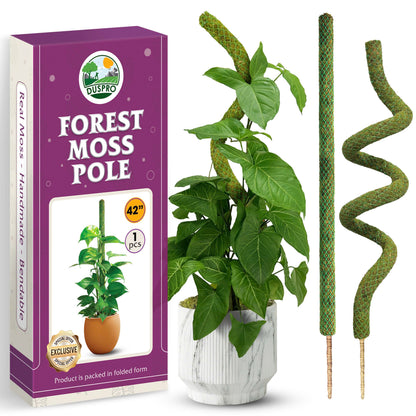 DUSPRO 42’’ Mesh Moss Pole for Plants, Tall Trellis for Climbing Monstera Plant Support, Sphagnum Moss Stick for Big Climbing Indoor, Handmade Plant Stakes for Houseplant