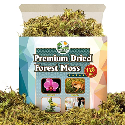 DUSPRO Dried Moss for Potted Plants, Forest Orchid Moss for Potting Mix, Sphagnum Potting Moss for Plants Indoor, Real Moss Soil Cover for Houseplant