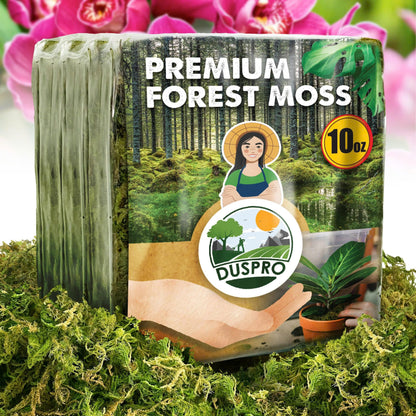 DUSPRO Dried Moss for Potted Plants, Forest Orchid Moss for Potting Mix, Sphagnum Potting Moss for Plants Indoor, Real Moss Soil Cover for Houseplant