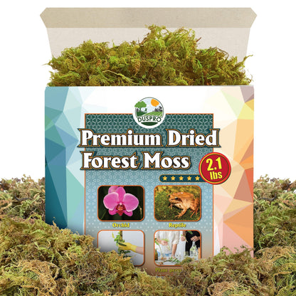 DUSPRO Dried Moss for Potted Plants, Forest Orchid Moss for Potting Mix, Sphagnum Potting Moss for Plants Indoor, Real Moss Soil Cover for Houseplant