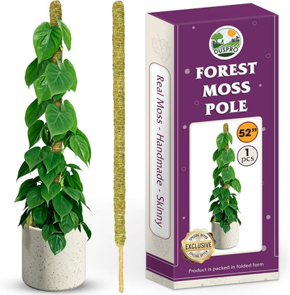 DUSPRO Natural Bendable Forest Moss Pole for Monstera Plant Stakes, Sphagnum Moss Stick for Monstera Plant Support