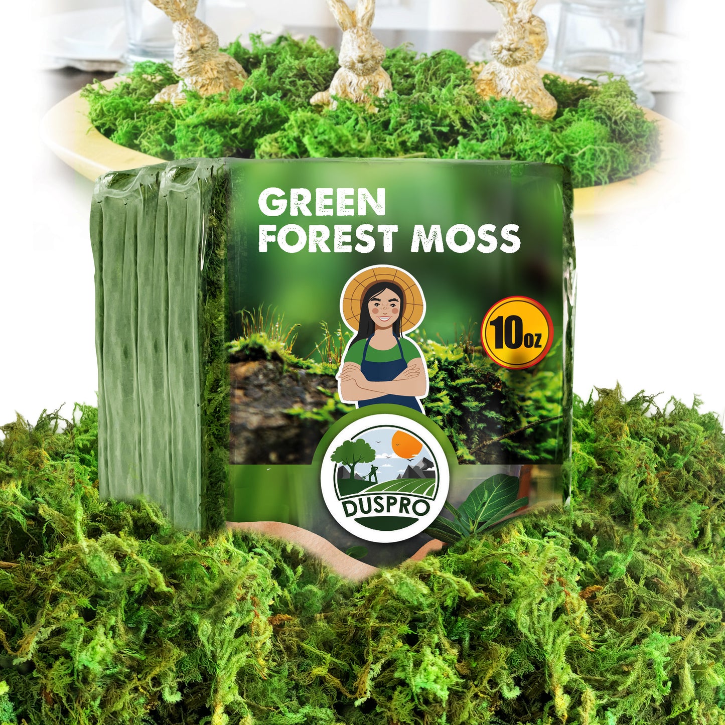 DUSPRO Green Forest Moss for Crafts, Real Dried Decorative Moss for Indoor Planter Soil Cover, Table Centerpieces, Wedding, Easter & Christmas Decor, DIY Projects