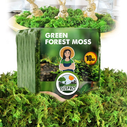 DUSPRO Green Forest Moss for Crafts, Real Dried Decorative Moss for Indoor Planter Soil Cover, Table Centerpieces, Wedding, Easter & Christmas Decor, DIY Projects