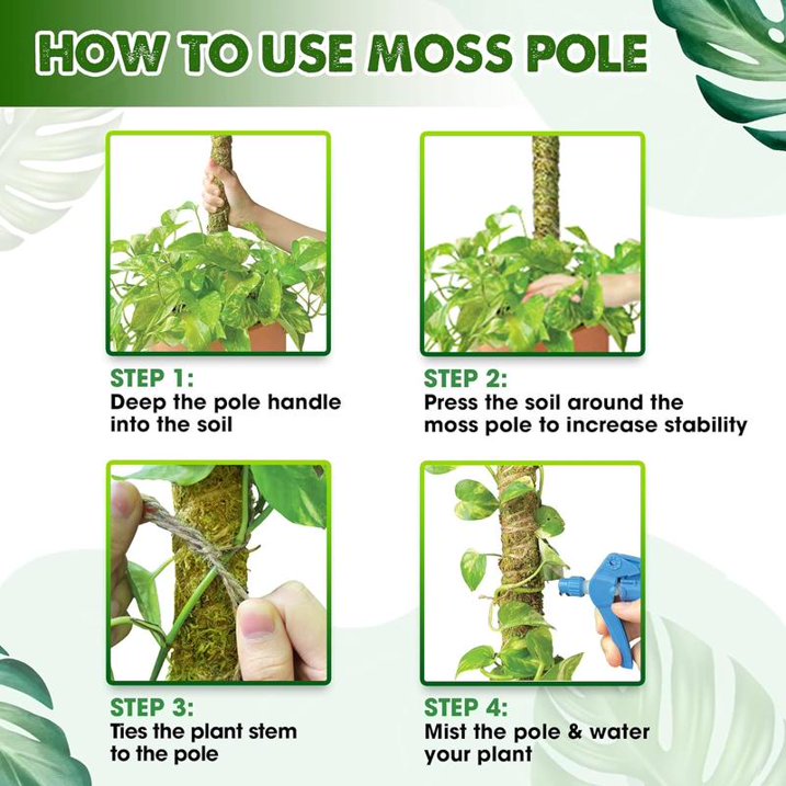 DUSPRO Natural Bendable Forest Moss Pole for Monstera Plant Stakes, Sphagnum Moss Stick for Monstera Plant Support