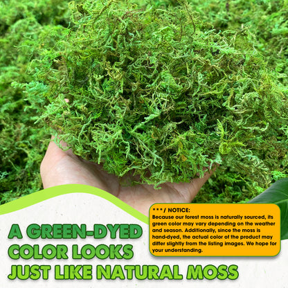 DUSPRO Green Moss for Crafts, Decorative Moss for Table Centerpieces Wedding Christmas Fairy Party Decor