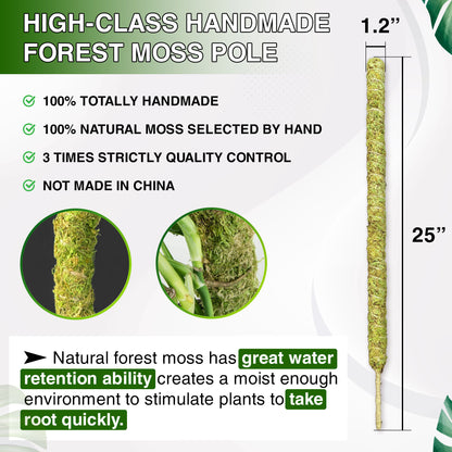 DUSPRO Natural Bendable Forest Moss Pole for Monstera Plant Stakes, Sphagnum Moss Stick for Monstera Plant Support