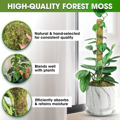 DUSPRO 2Pack 22" Stackable Mesh Moss Pole for Plants Climbing Vine Supporting Monstera Trellis