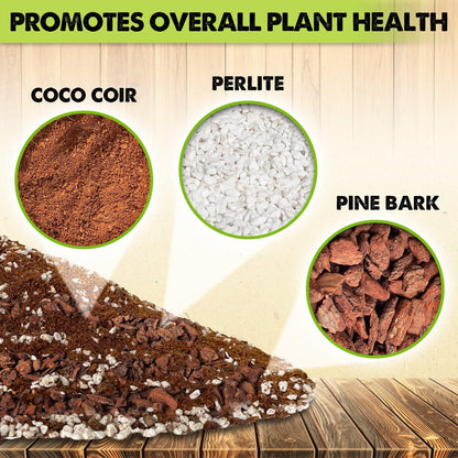 DUSPRO Recycle Money Tree Soil, Premium Coco Coir Perlite Mix and Pine Bark for Money Tree Soil