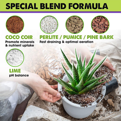 DUSPRO RECYCLE Premium Aloe Vera Soil Blend, Soil for Aloe, Hand Blended Aloe Vera Soil Mix, Aloe Vera Dirt, Tree Soil