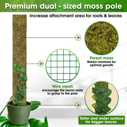 DUSPRO 59’’ Flat Mesh Moss Poles for Climbing Plants Monstera Flat Stacks for Tall Plant with Real Moss (1pc., 59'')