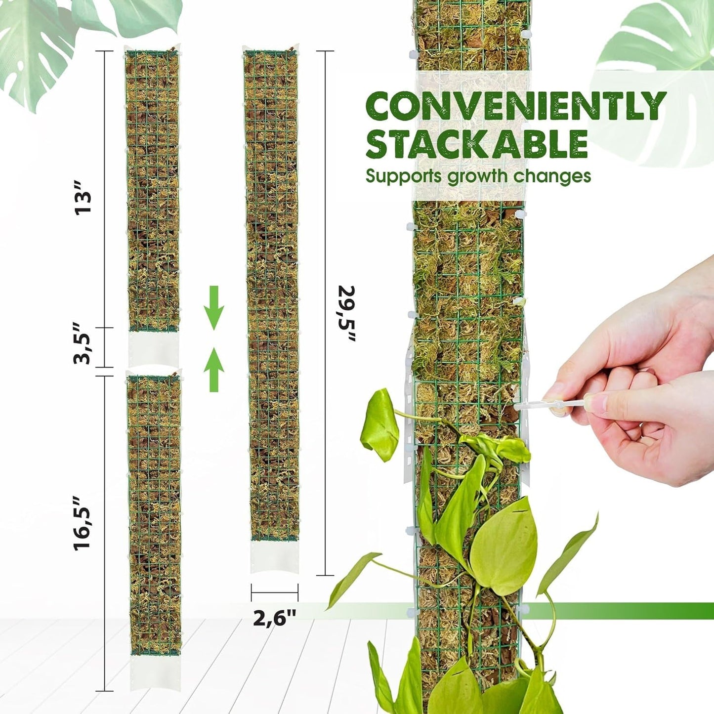 DUSPRO 2Pack 22" Stackable Mesh Moss Pole for Plants Climbing Vine Supporting Monstera Trellis