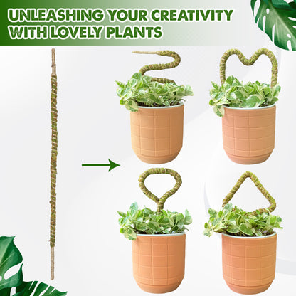 DUSPRO Mini Bendable Moss Pole Small Trellis for Climbing Plants Indoor Flexible Plant Support Stake