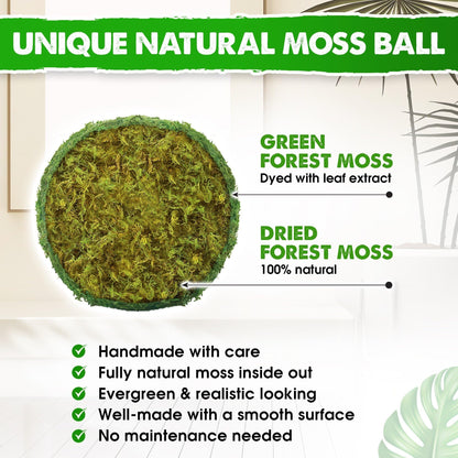 DUSPRO Moss Balls Decorative, Handmade Green Moss Balls for Bowls, Decorative Balls for Centerpiece Bowls