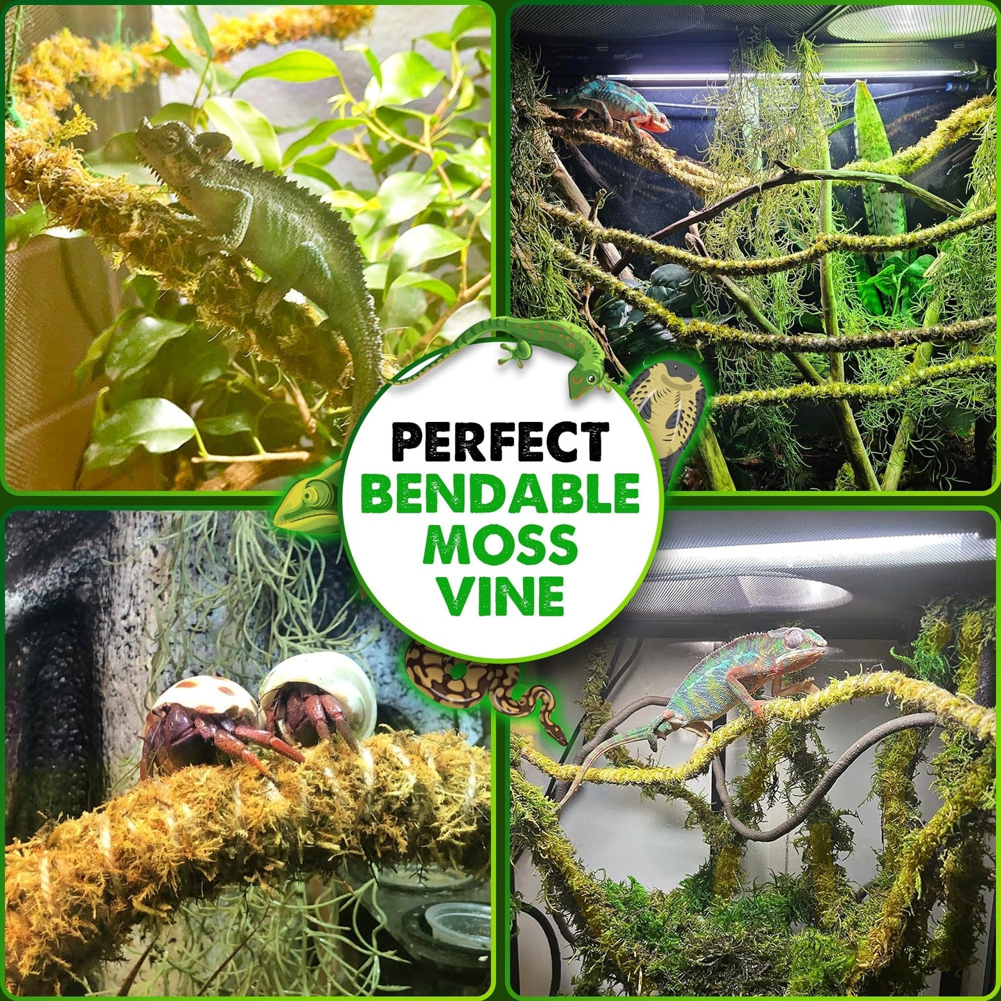 Duspro 10FT Reptile Vines for Climbing Bendable Branch for Reptile Natural Moss Rope Jungle Decor for Bearded Dragon, Chameleon Tank Accessories, Snake Gecko Lizard Terrarium