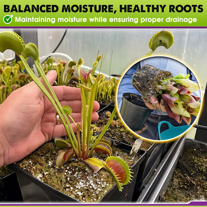 Carnivorous Plant Soil Mix - Include Forest Moss, Peat Moss, Perlite Potting Mix for Carnivorous Plants, Pitcher Plant, Butterworts, Sundews - Carnivorous Plant Food