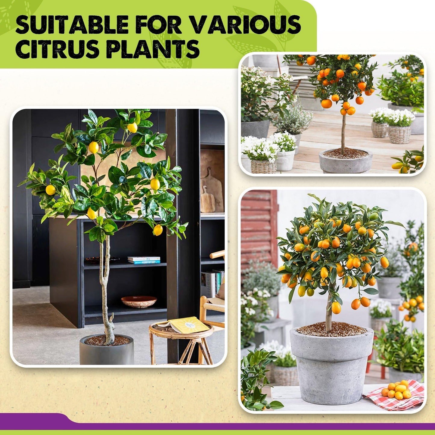 DUSPRO Recycle Citrus Tree Potting Soil Mix for Potted Lemon Tree, Specialized for Oranges, Fruit Tree Indoor Planting Pre-Mixed 4-in-1 Ready to Use