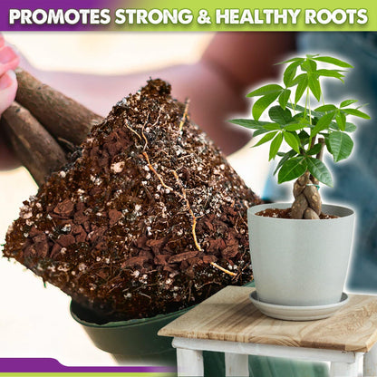 DUSPRO Recycle Money Tree Soil, Premium Coco Coir Perlite Mix and Pine Bark for Money Tree Soil