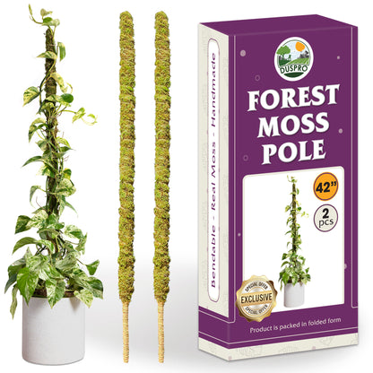 DUSPRO Natural Bendable Forest Moss Pole for Monstera Plant Stakes, Sphagnum Moss Stick for Monstera Plant Support