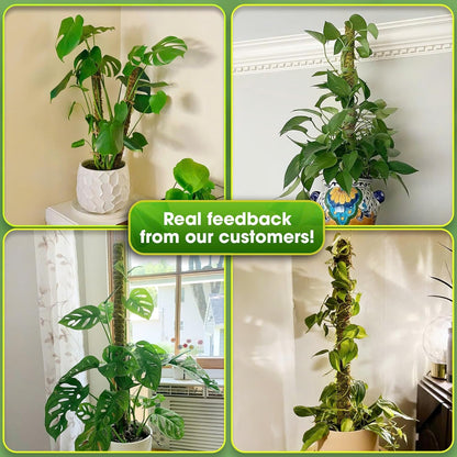 DUSPRO Natural Bendable Forest Moss Pole for Monstera Plant Stakes, Sphagnum Moss Stick for Monstera Plant Support