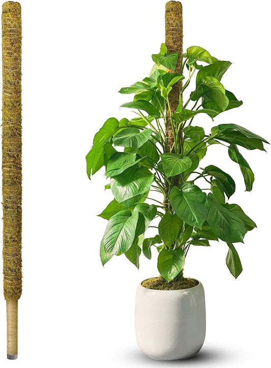 DUSPRO 59 Inches Non-Bendable Pole for Big Plants, Large Moss Pole for Plants Monstera, Plant Stakes for Indoor Plants (1pc., 59'')