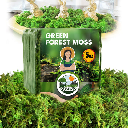 DUSPRO Green Forest Moss for Crafts, Real Dried Decorative Moss for Indoor Planter Soil Cover, Table Centerpieces, Wedding, Easter & Christmas Decor, DIY Projects
