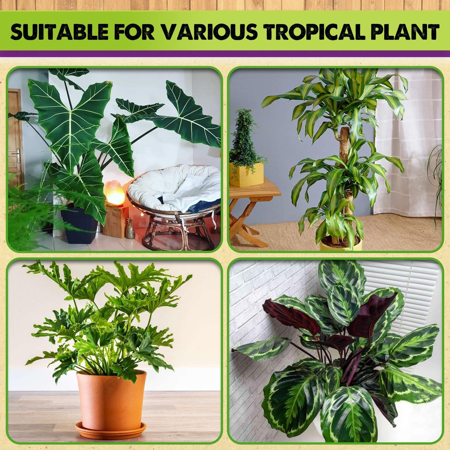 DUSPRO Recycle Tropical Potting Mix Pre-Mixed 5in1 with Pine Bark, Coco Coir, Perlite, Worm Casting & Pumice Ideal Aroid Mix Soil for Monstera, Pothos, Philodendron, Other Indoor HousePlants