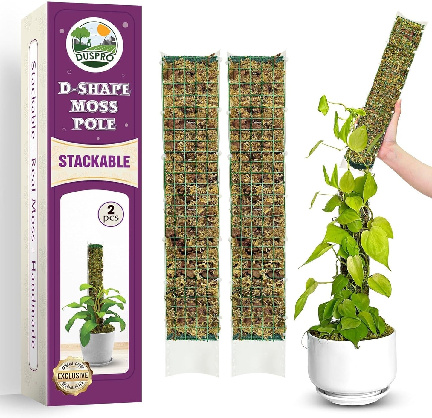 DUSPRO 2Pack 22" Stackable Mesh Moss Pole for Plants Climbing Vine Supporting Monstera Trellis