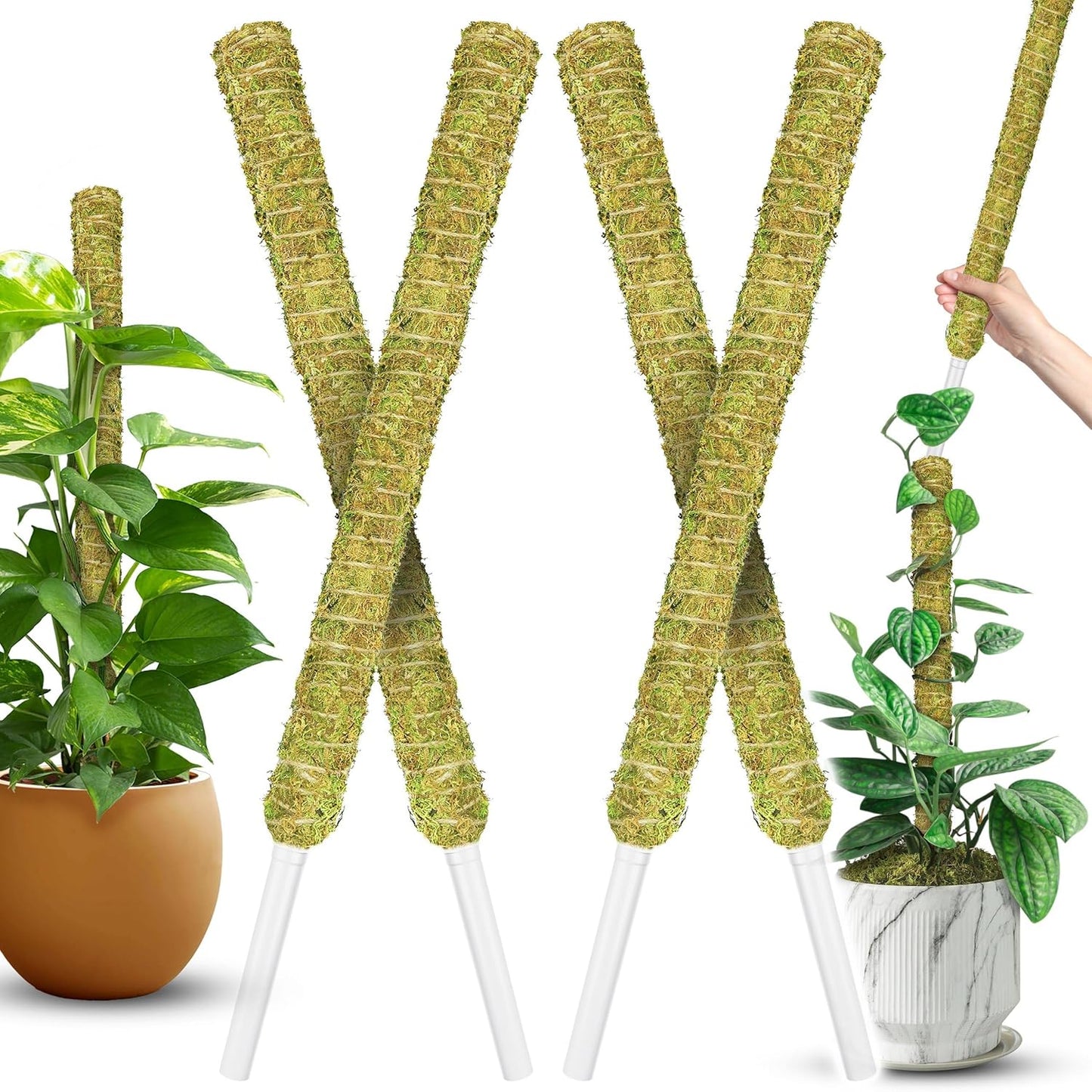 DUSPRO 2Pack 22" Stackable Mesh Moss Pole for Plants Climbing Vine Supporting Monstera Trellis