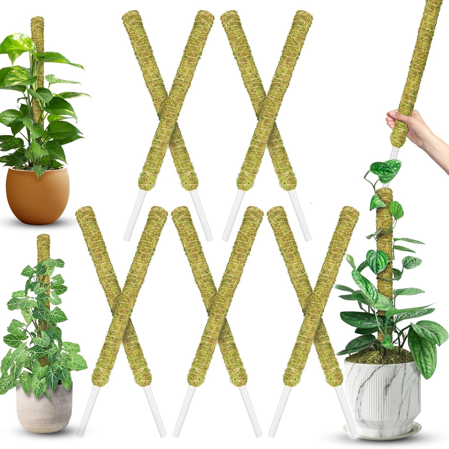 DUSPRO 2Pack 22" Stackable Mesh Moss Pole for Plants Climbing Vine Supporting Monstera Trellis