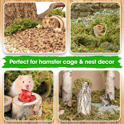 Duspro 5oz Hamster Bedding, Natural Forest Moss Bedding for Hamster, Hamster Bedding Odor Control