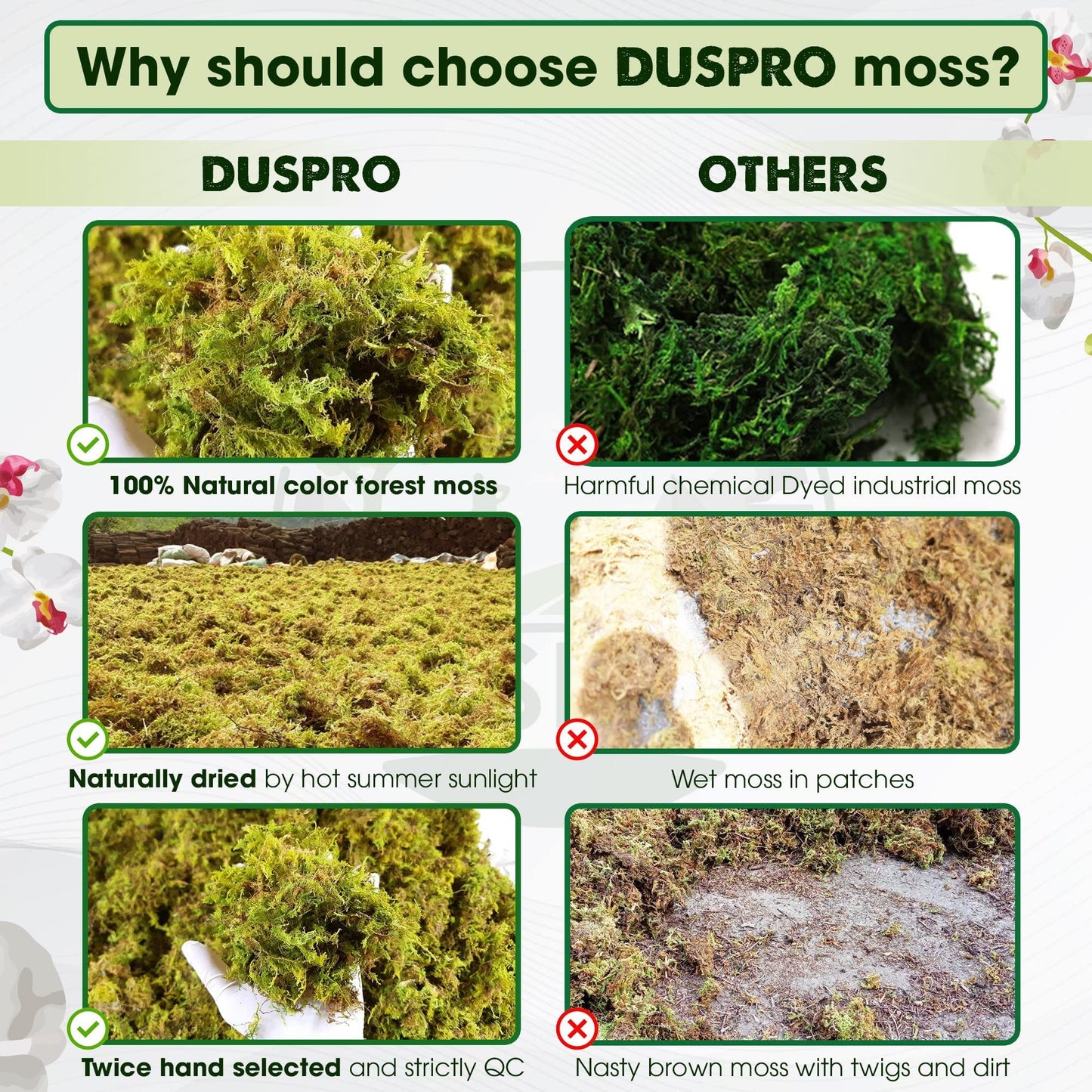 DUSPRO Dried Moss for Potted Plants, Forest Orchid Moss for Potting Mix, Sphagnum Potting Moss for Plants Indoor, Real Moss Soil Cover for Houseplant