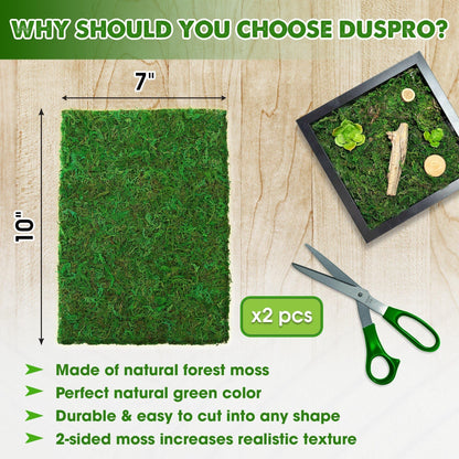 DUSPRO 2Pcs 10x7 Inches Sheet Moss for Potted Plants, Florist Moss for Plants Indoor, Green Moss for Planters, Moss Sheets for Crafts