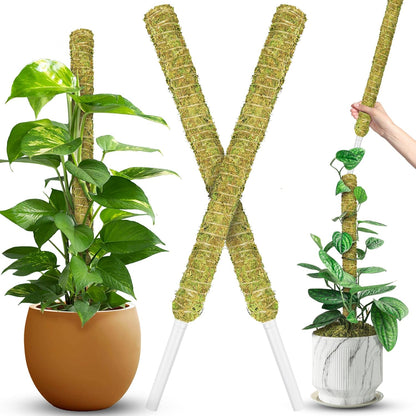 DUSPRO 2Pack 22" Stackable Mesh Moss Pole for Plants Climbing Vine Supporting Monstera Trellis