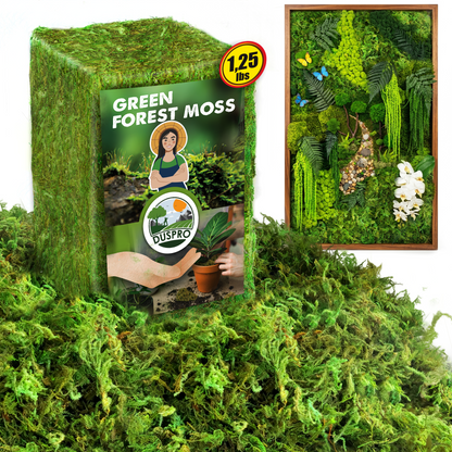 DUSPRO Green Forest Moss for Crafts, Real Dried Decorative Moss for Indoor Planter Soil Cover, Table Centerpieces, Wedding, Easter & Christmas Decor, DIY Projects