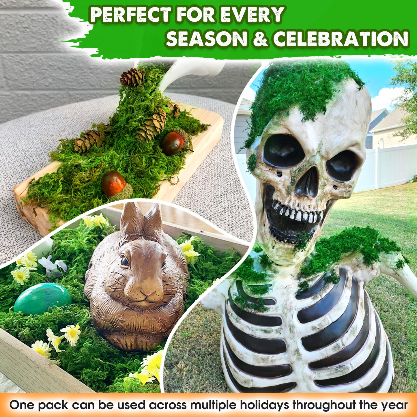 DUSPRO Green Forest Moss for Crafts, Real Dried Decorative Moss for Indoor Planter Soil Cover, Table Centerpieces, Wedding, Easter & Christmas Decor, DIY Projects