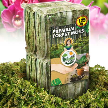 DUSPRO Dried Moss for Potted Plants, Forest Orchid Moss for Potting Mix, Sphagnum Potting Moss for Plants Indoor, Real Moss Soil Cover for Houseplant
