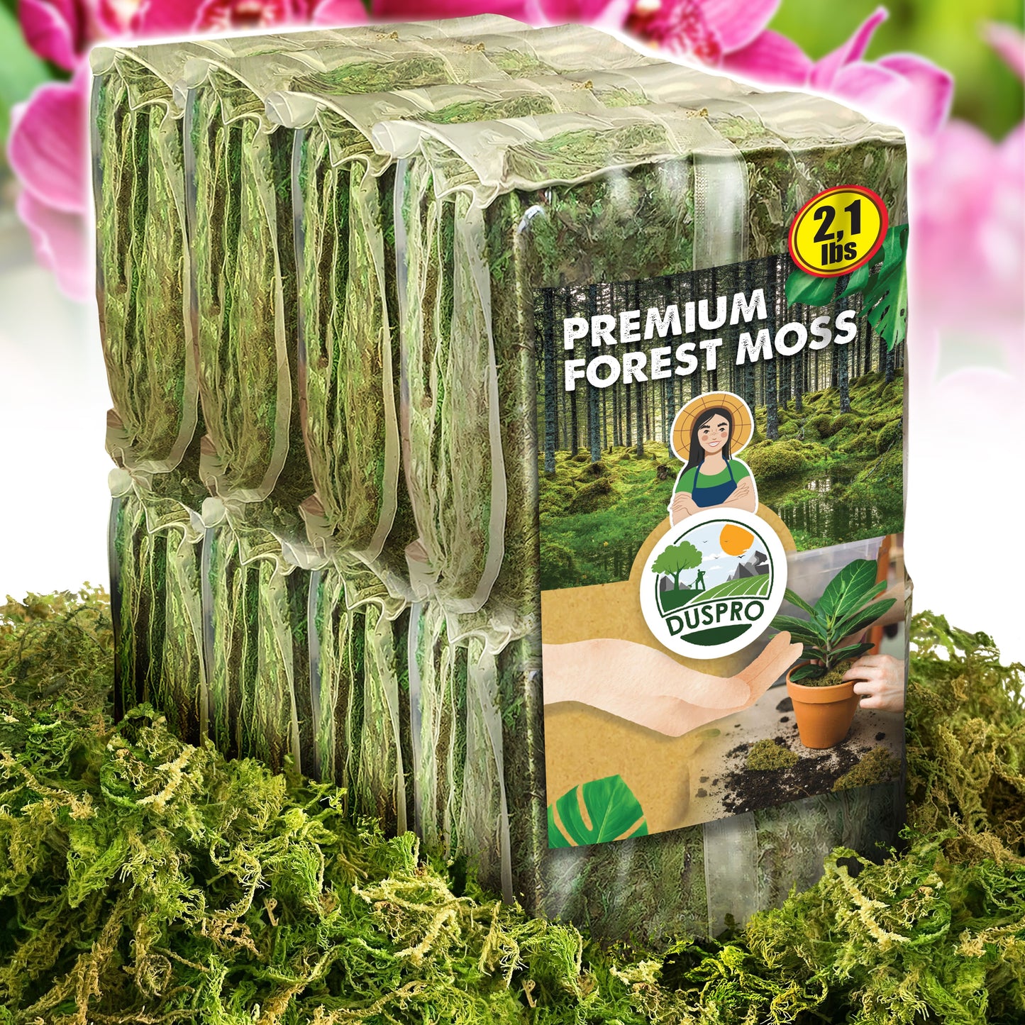 DUSPRO Dried Moss for Potted Plants, Forest Orchid Moss for Potting Mix, Sphagnum Potting Moss for Plants Indoor, Real Moss Soil Cover for Houseplant
