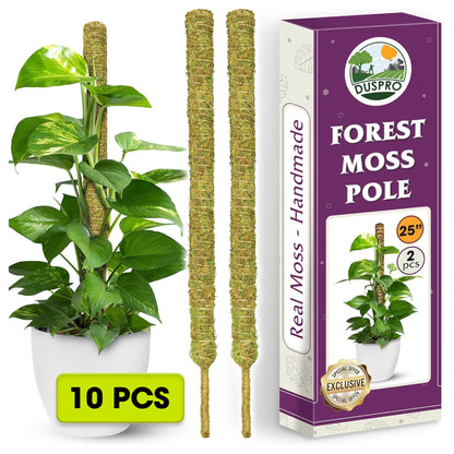 DUSPRO Natural Bendable Forest Moss Pole for Monstera Plant Stakes, Sphagnum Moss Stick for Monstera Plant Support