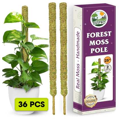 DUSPRO Natural Bendable Forest Moss Pole for Monstera Plant Stakes, Sphagnum Moss Stick for Monstera Plant Support