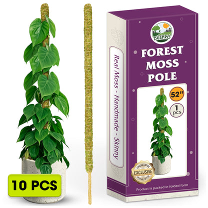 DUSPRO Natural Bendable Forest Moss Pole for Monstera Plant Stakes, Sphagnum Moss Stick for Monstera Plant Support