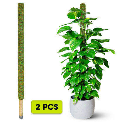 DUSPRO 59’’ Large Green Mesh Moss Pole Monstera Plant Support, Tall Plant Stakes, Moss Pole for Plants Monstera (1pc., 59'')