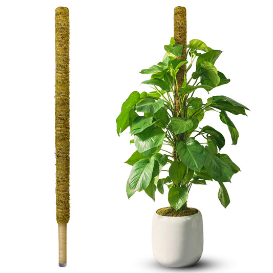 DUSPRO 59 Inches Non-Bendable Pole for Big Plants, Large Moss Pole for Plants Monstera, Plant Stakes for Indoor Plants (1pc., 59'')