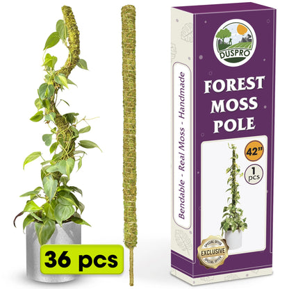 DUSPRO Natural Bendable Forest Moss Pole for Monstera Plant Stakes, Sphagnum Moss Stick for Monstera Plant Support