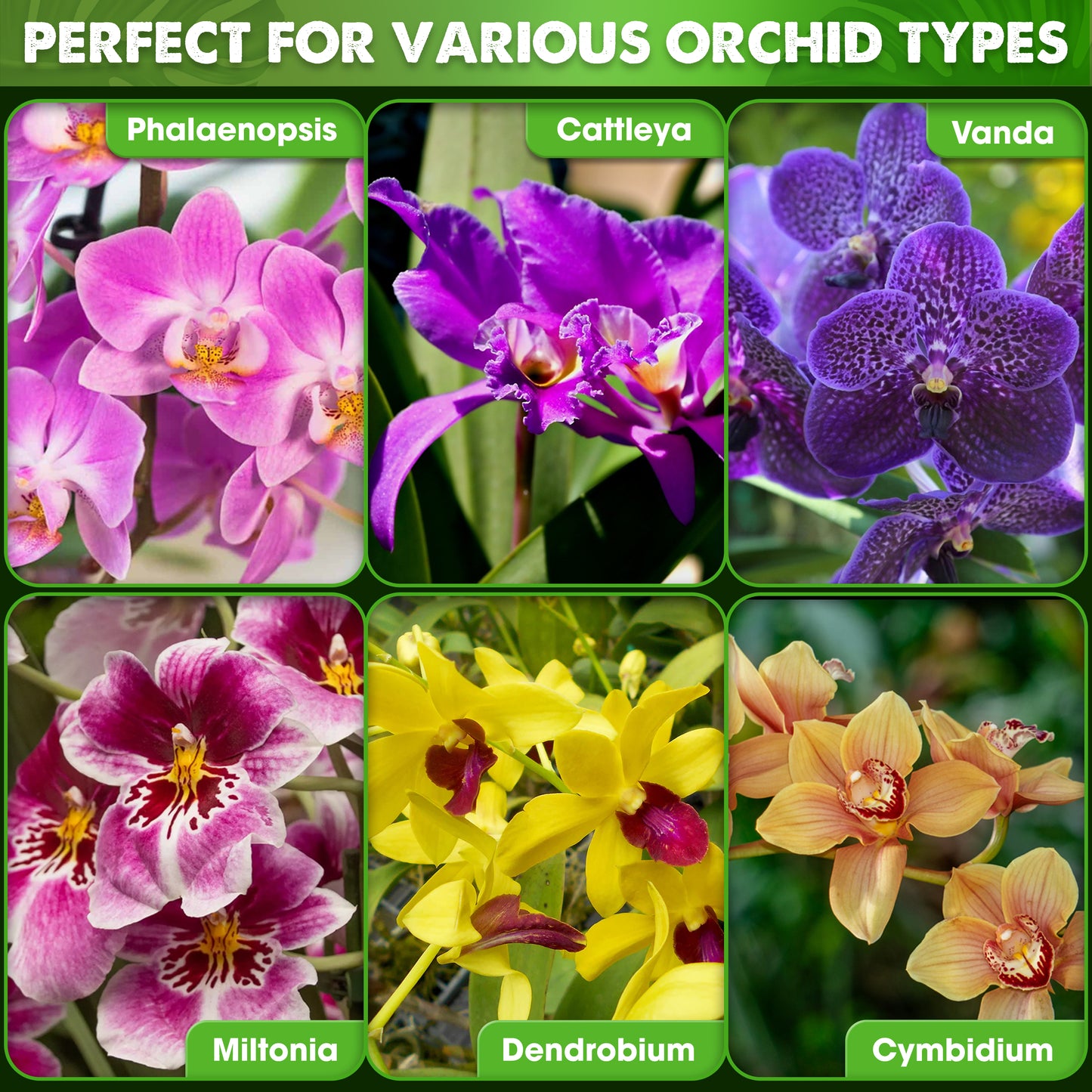 [Upgraded] DUSPRO Orchid Potting Mix for Repotting with Forest Moss, Pine Bark, Perlite & Pumice, Orchid Bark Potting Mix, Orchid Repotting Soil, Drainage Indoor Potting, Orchid Pot Not Included